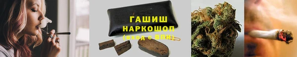 молекула духа Пестово