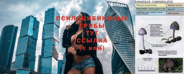 герыч Осинники