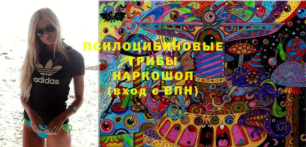 молекула духа Пестово