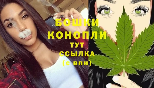 молекула духа Пестово