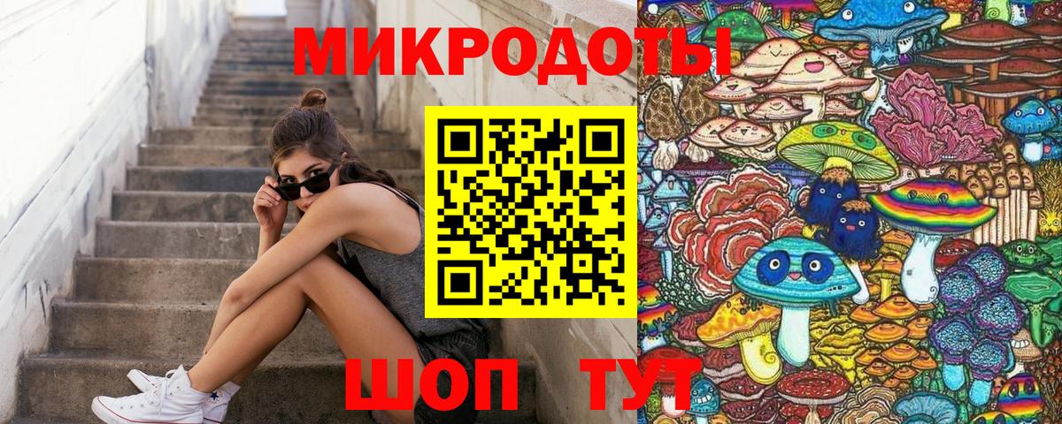 Псилоцибиновые грибы Psilocybe  Псилоцибиновые грибы прущие грибы  Вход с VPN  Рубцовск 