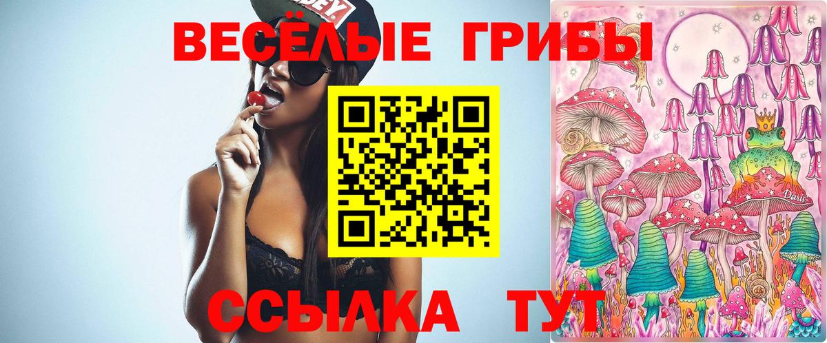 Галлюциногенные грибы прущие грибы Рубцовск
